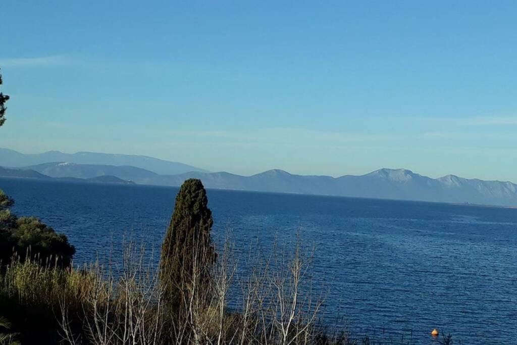 Amazing Sea View-Neos Pyrgos Beach -Evoia Greece نيوس بيرغوس المظهر الخارجي الصورة