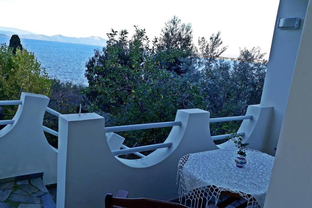 Amazing Sea View-Neos Pyrgos Beach -Evoia Greece نيوس بيرغوس المظهر الخارجي الصورة