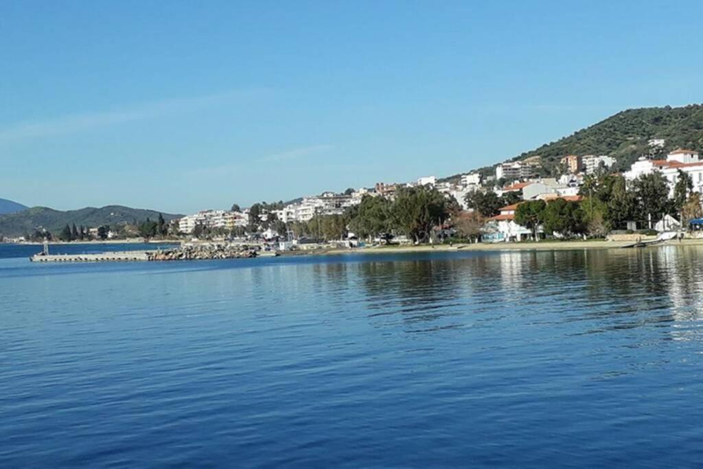 Amazing Sea View-Neos Pyrgos Beach -Evoia Greece نيوس بيرغوس المظهر الخارجي الصورة