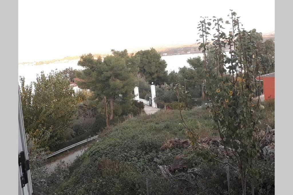 Amazing Sea View-Neos Pyrgos Beach -Evoia Greece نيوس بيرغوس المظهر الخارجي الصورة