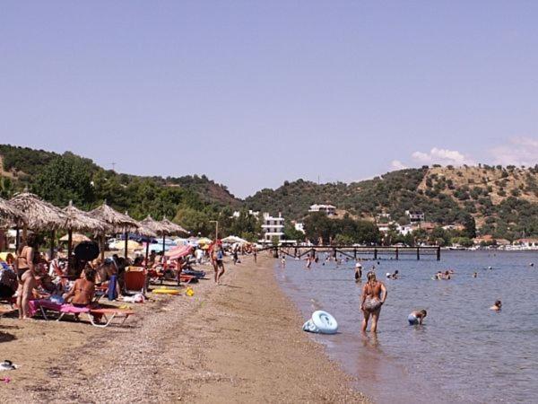Amazing Sea View-Neos Pyrgos Beach -Evoia Greece نيوس بيرغوس المظهر الخارجي الصورة