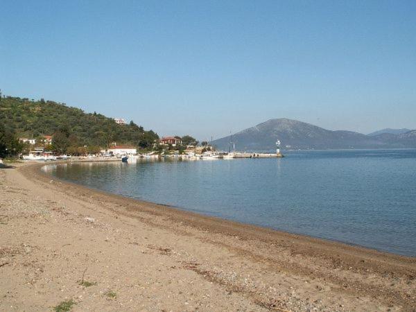 Amazing Sea View-Neos Pyrgos Beach -Evoia Greece نيوس بيرغوس المظهر الخارجي الصورة